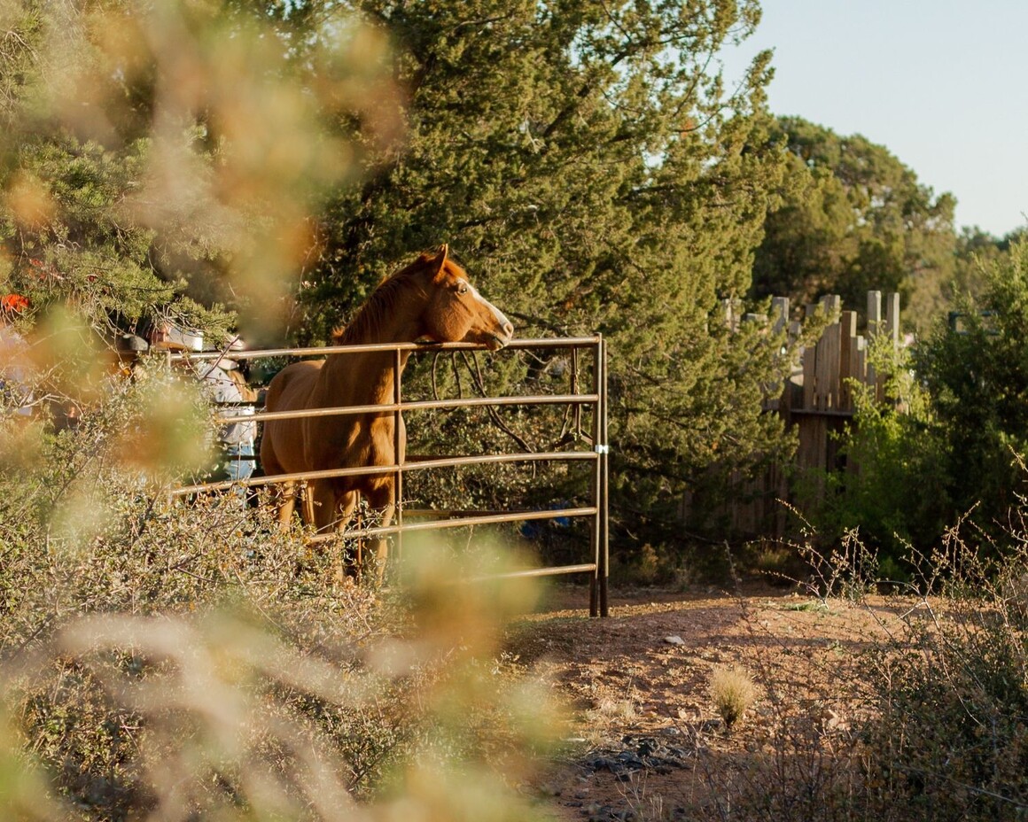 Talk Ranch Sterling Ranch Sets Record Land Values as Final Homesites Hit Market
