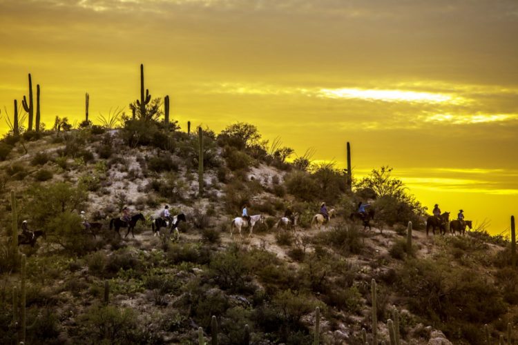 Tanque Verde Ranch