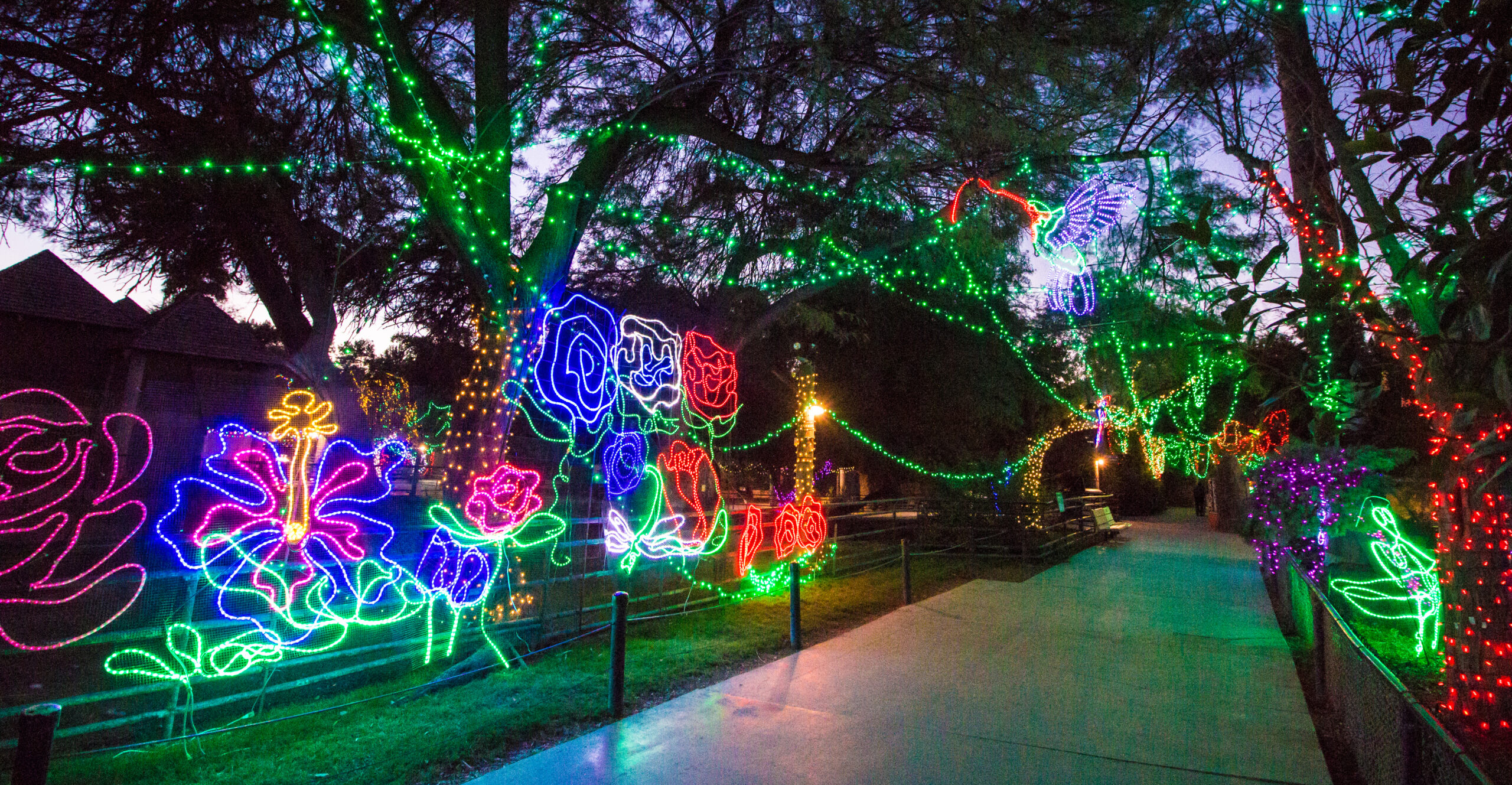 Get Into the Holiday Spirit in Tucson