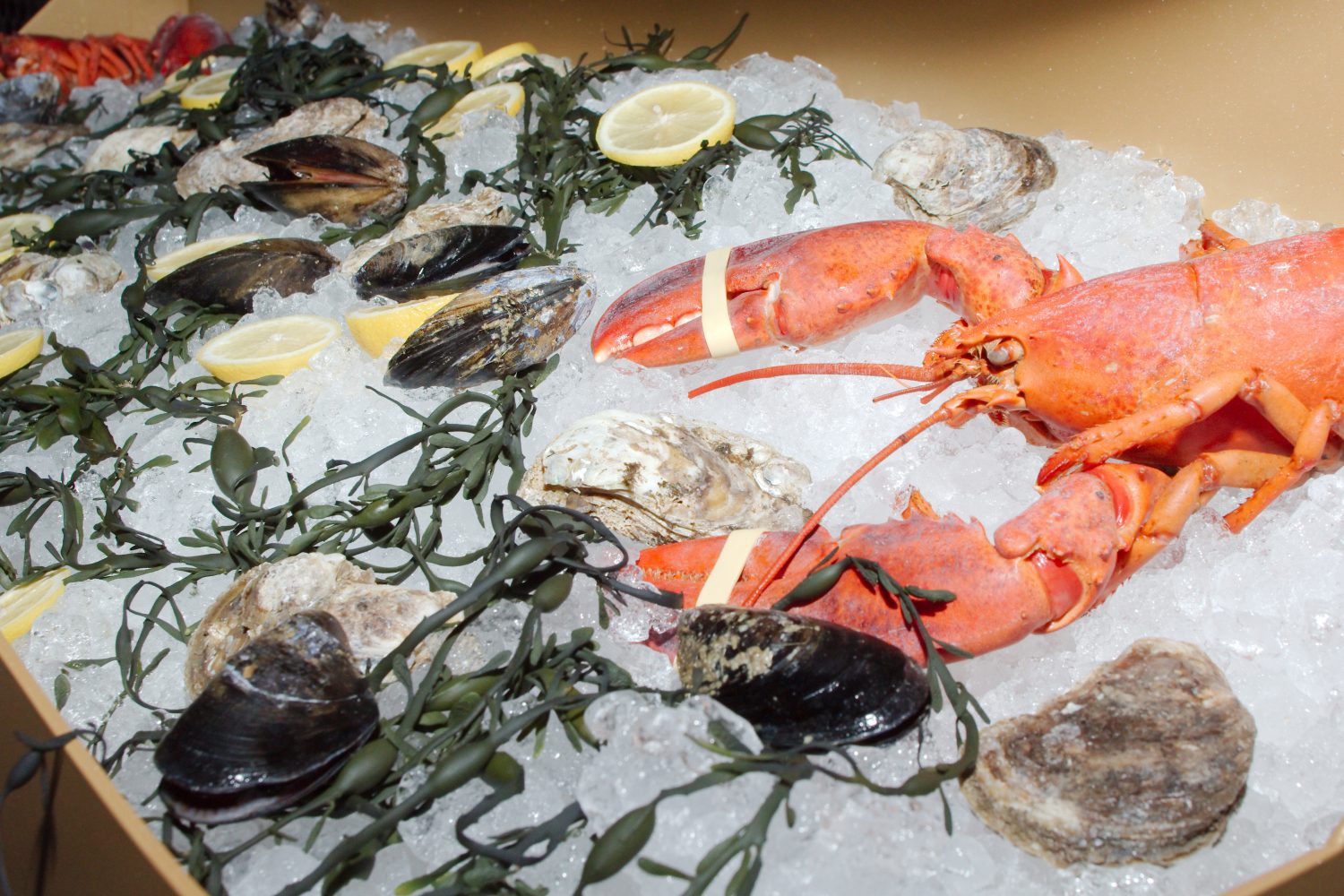 A Taste of MODERN OYSTERBAR CHOPHOUSE