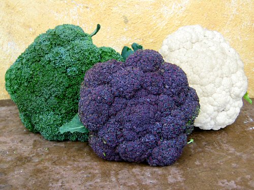 cauliflower-colors