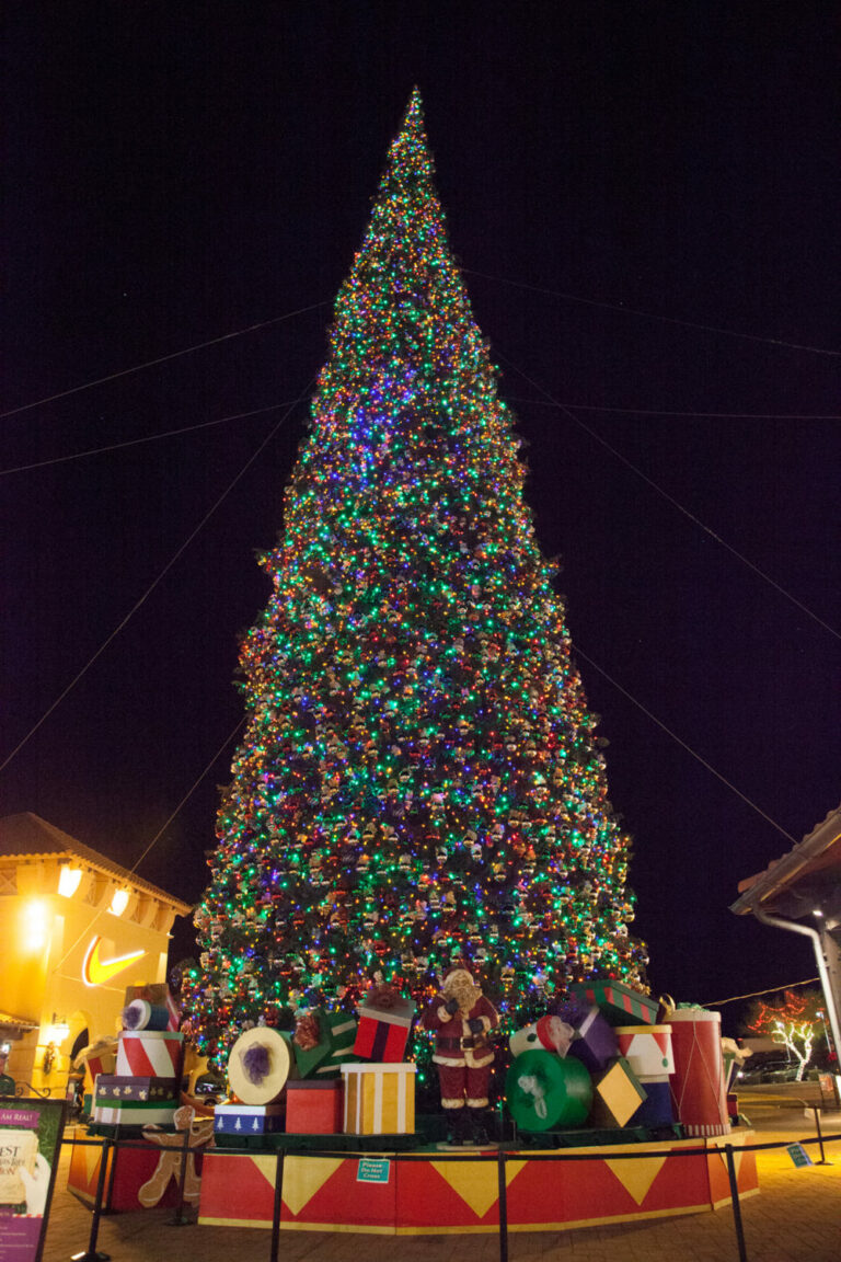 Arizonans Can Count on State’s Tallest Christmas Tree Tradition